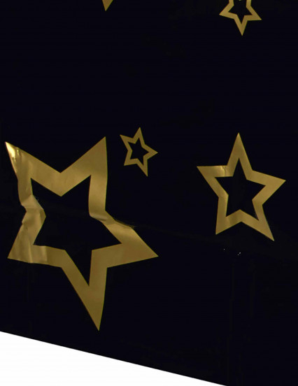 VIP plastic tafelkleed 2