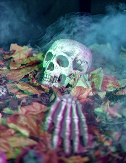 21-delige Halloween-skelet- en grafsteendecoraties 4