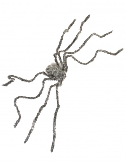 Grijze harige reuzenspin Halloween 160 cm 1