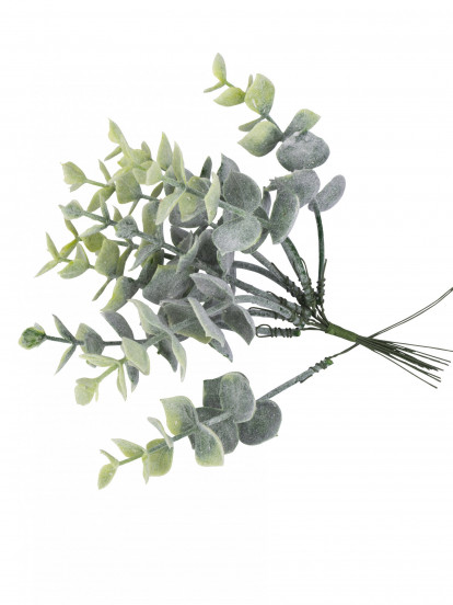 10 Besneeuwde eucalyptustakken op een steel van 17 cm 1