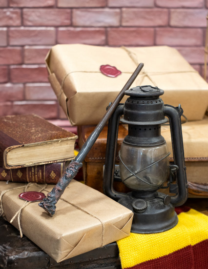 Harry Potter luxe toverstaf 2